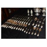Springpark Estate Sale - Jupiter/Springpark Area