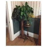 Vintage Plant Stands & Plants