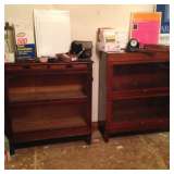 2 lawyers bookcases