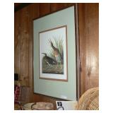 Audubon plate print from U of I Library Friends Fund Raiser