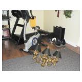 brass chandelier, treadmill and bike