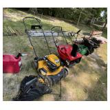 Mower, Snow Blower