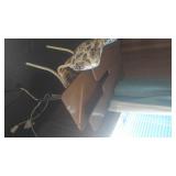 LANCASTER CA ESTATE SALE BY ON THE BLVD ANTIQUES