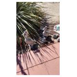 FABULOUS LANCASTER ESTATE SALE BY ON THE BOULEVARD ANTIQUES