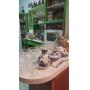Unbelievable Winter Park Estate Sale - All Vintage & Mid Century!