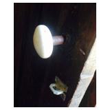 Old Doors with Porcelain Hardware