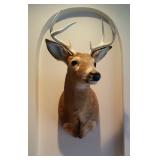 Sportsmans Dream Layton Estate