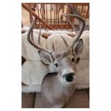 LAST DAY 1/2 OFF 436 W 325 N CLEARFIELD ESTATE 