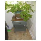 LIVE PLANT, TABLE