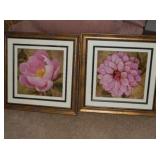 Framed Pictures