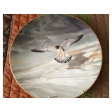 THE PEREGRINE FALCON