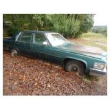 LIVE AUCTION SAT.
