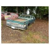LIVE AUCTION SAT.