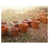 PLANTERS