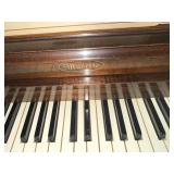Musette Piano