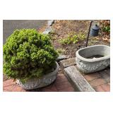 Planters
