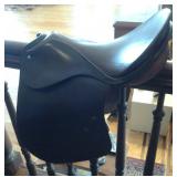 "NEW" PASSIER DRESSAGE SADDLE  16.5"