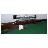 Ruger Stainless 10/22