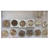 (13) .999 Silver Rounds