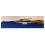 Marlin Stainless Model 60 .22LR