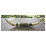 Large Pair of Cow / Bull Horns # 1