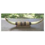 Large Pair of Cow / Bull Horns # 2