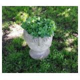 Concrete Planter
