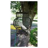Old Bird Cage