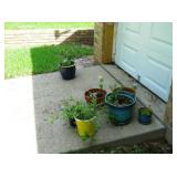 Planters