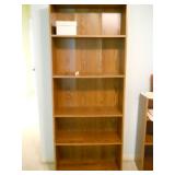 Tall Bookshelf #2