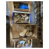 shells