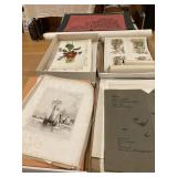 many unframed prints, posters, folios
