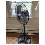 multiple fans standing and window
