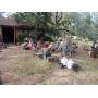 Picker paradise. Gigantic collection of tools presented by Legacy Estate Solutions