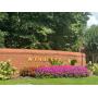 SATURDAY 75% OFF - BEAUTIFUL STONE MOUNTAIN SALE - FULL HOUSE!
