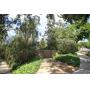 Fantastic Celebrity Estate Sale with a mix of Traditional and Contemporary Items in Los Angeles -Wow