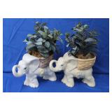 elephant planters