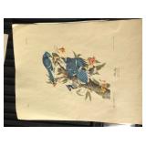 Audubon prints