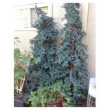 Towering outdoor artificial wood trunk Christmas trees