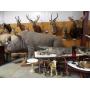 OUTSTANDING AUCTION