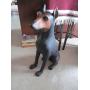 PW Green Antiques-Port Orchard Estate Sale