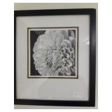 Flower Framed Print