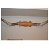 Texas Longhorns