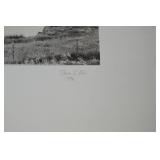 Signed/Numbered Steve Ellis Photography