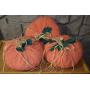 Hand Crafted Chenille Pumpkins