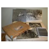 Earl Roarig vintage animal photography portfolio