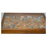 Rock and fossil collection