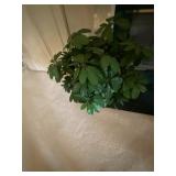 Tons of silk plants in differnt sizes