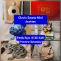 June 22 - Clovis Estate Mini Auction. 100 Lots. Ends Sunday 830am to 10am. Pick up Sunday 9am-1pm