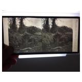 Glass Stereoscope Slides, Color Slides Too (featuring the first color photography)